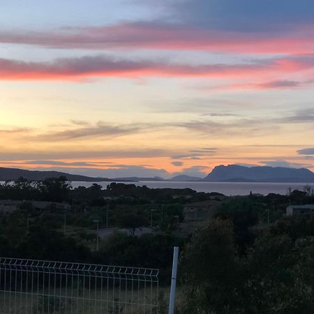 Vista Mare Con Piscina A Budoni - Baia Sant'Anna 빌라 외부 사진